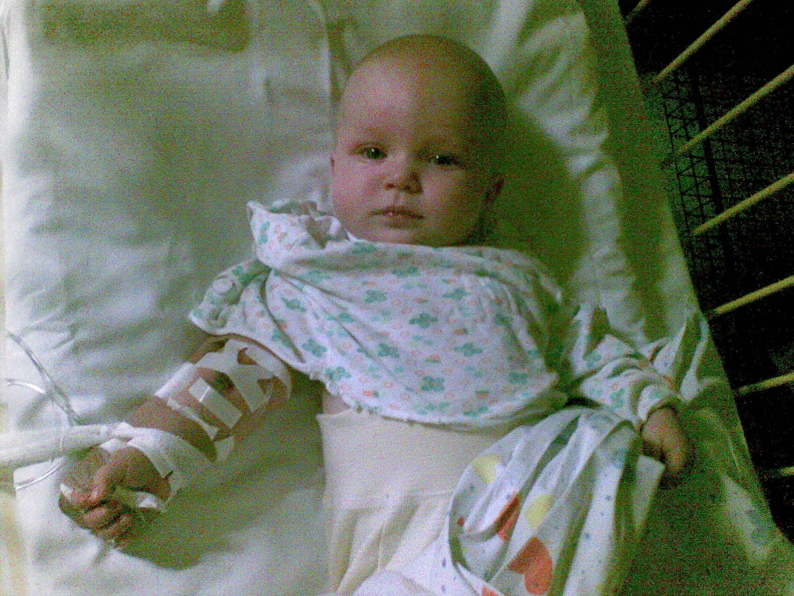 03082008.jpg